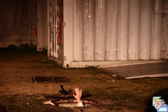 Laure Rossi Cie Rouge Esope * (56 Diapositives)